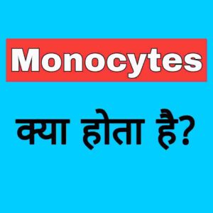 What is monocytes in hindi