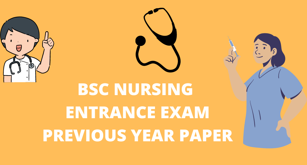 bsc nursing paper in hindi